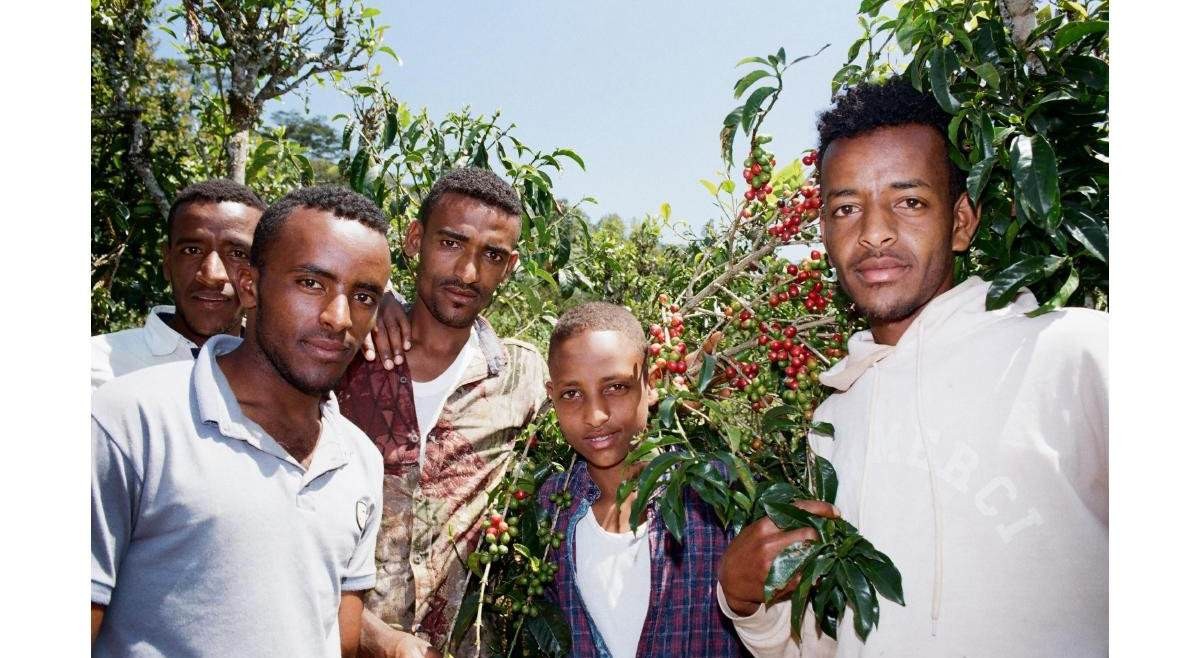 Coffee farmers, De Sur a Sur